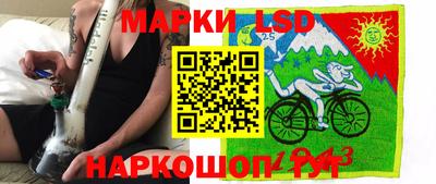 прущие грибы Будённовск
