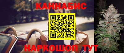 прущие грибы Будённовск
