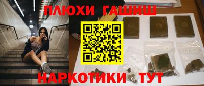 прущие грибы Будённовск