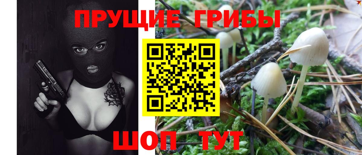 Псилоцибиновые грибы прущие грибы  Вход с VPN  Псилоцибиновые грибы Cubensis  Магадан 